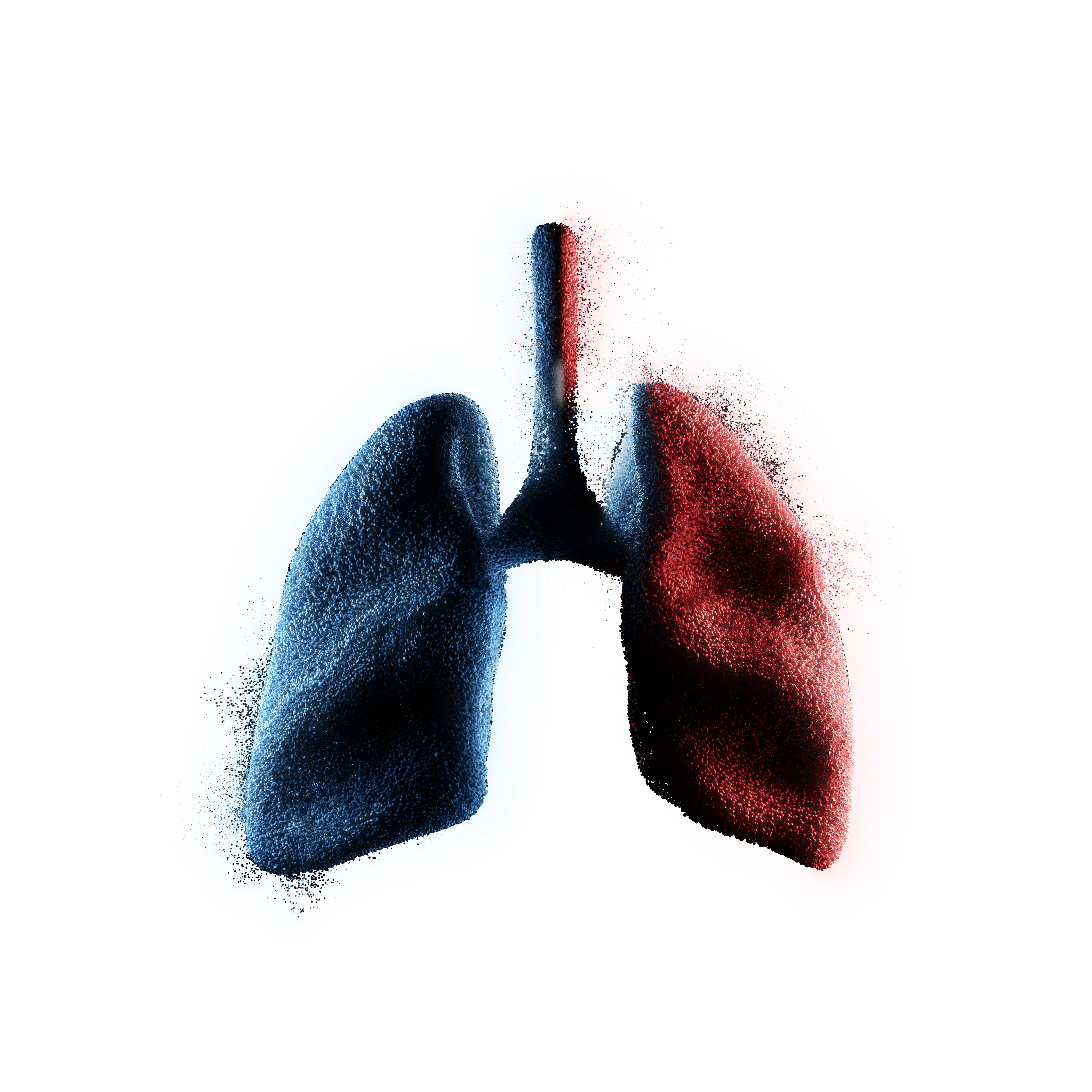 Failed to play video